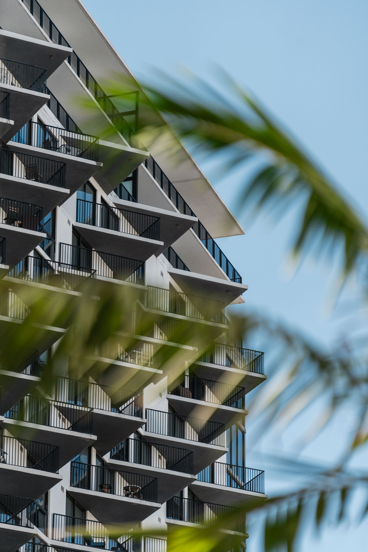 Residences at Downtown Doral framed by palm fronds